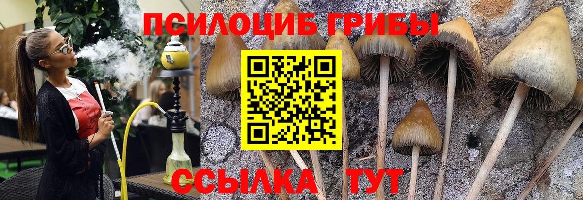 Галлюциногенные грибы GOLDEN TEACHER Северск