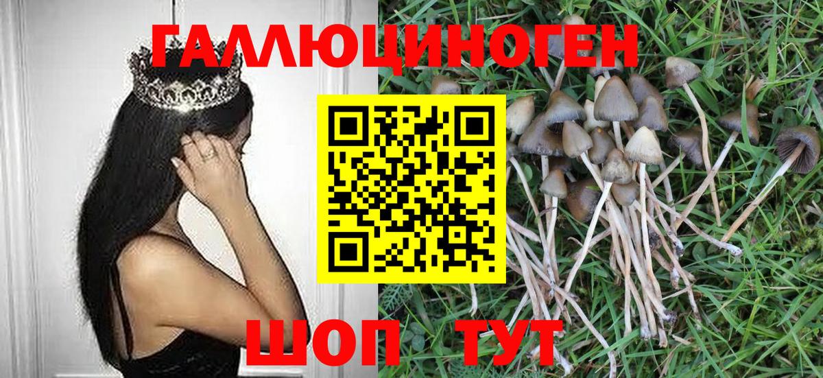 Галлюциногенные грибы Psilocybe  Вход с VPN  где можно купить наркотик  Северск 